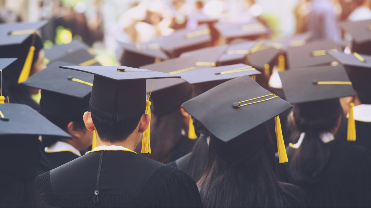 State Student Loan Software by Oracle OFSLL