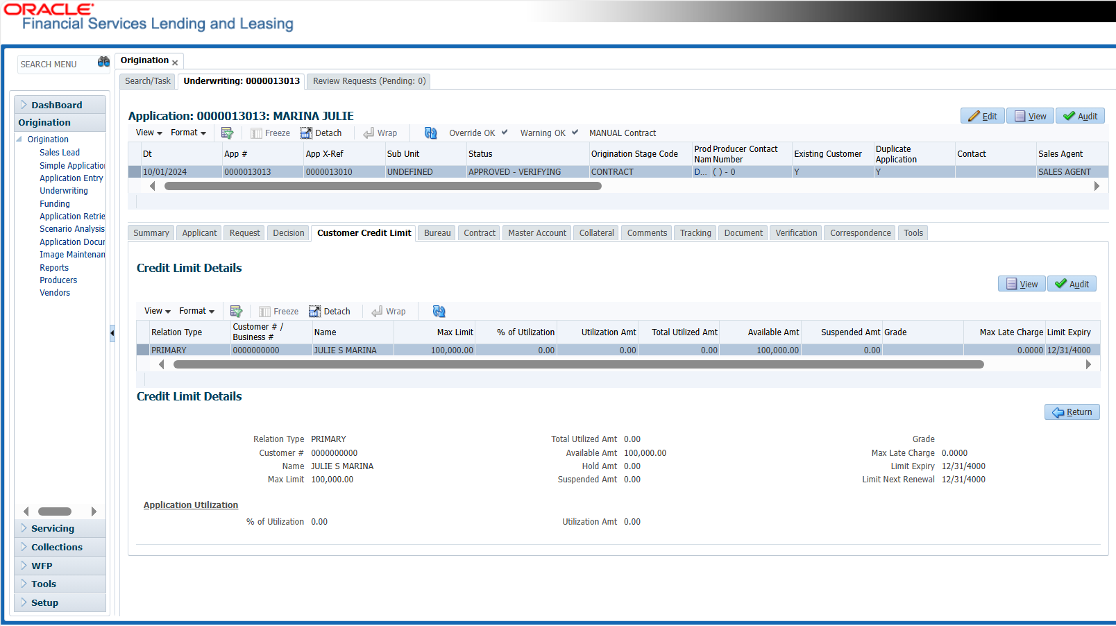 Credit Details - Loan Origination Software